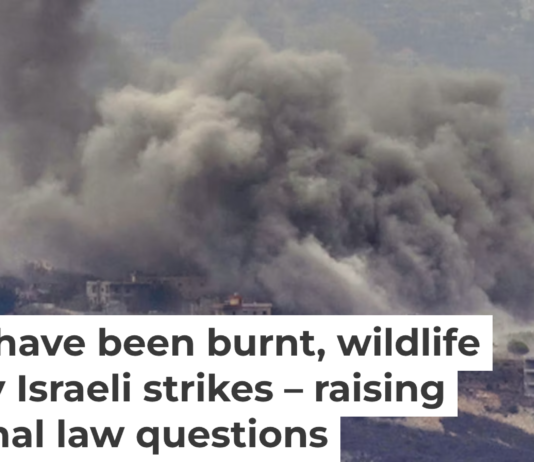 Smoke rises from Israeli airstrikes on southern Lebanese villages on Sept. 23, 2024. AP Photo / Hussein Malla
